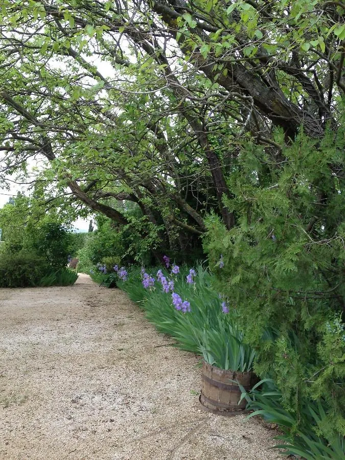 Gite Petite Maison Le Jardin Vaison-la-Romaine Holiday home
