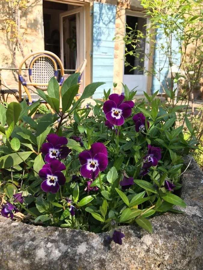Gite Petite Maison Le Jardin Vaison-la-Romaine France